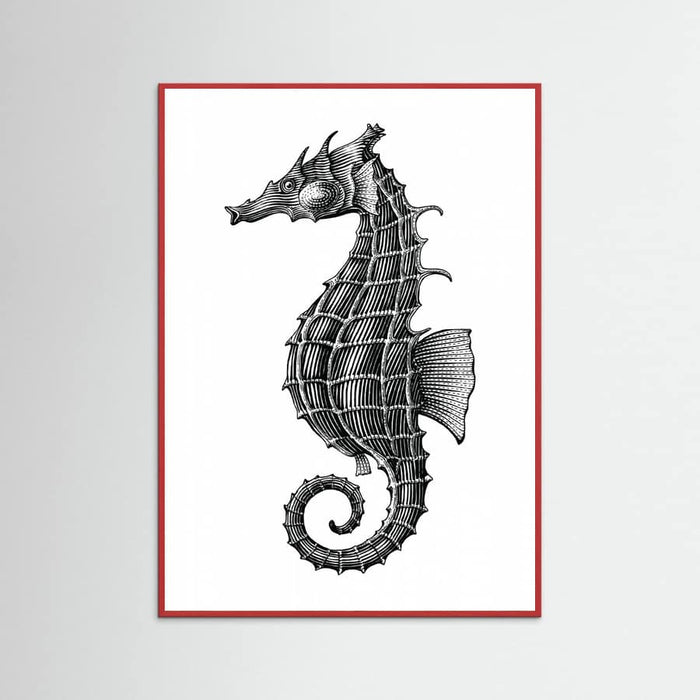 Affiche Seahorse – affiche et impression d’art