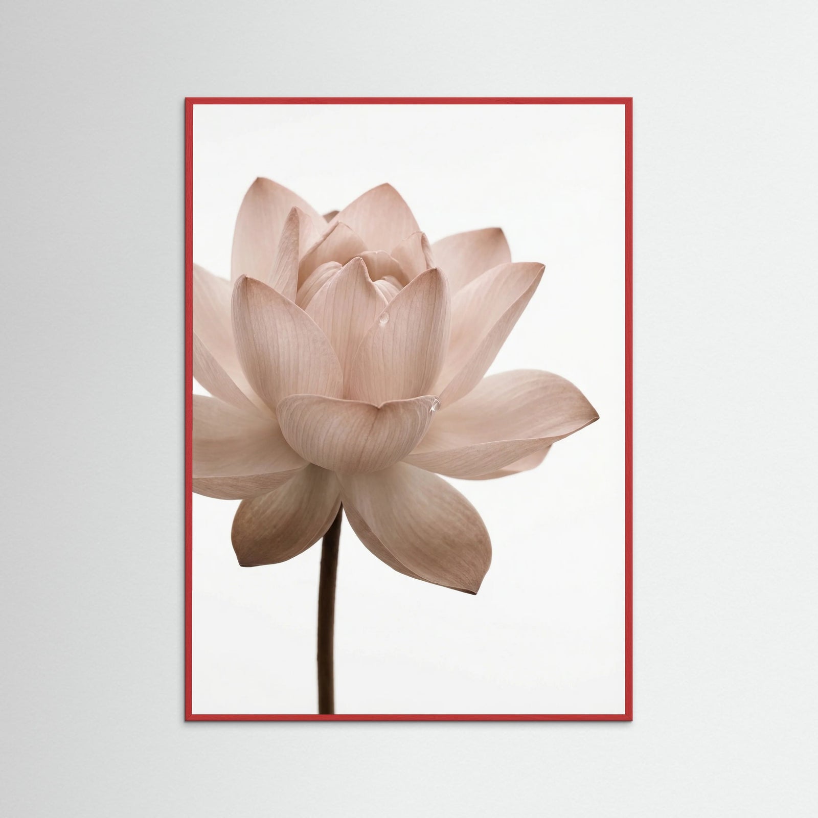 Red Wood Serene Bloom