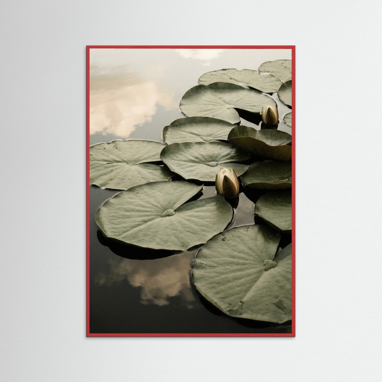 Red Wood Serene Bloom