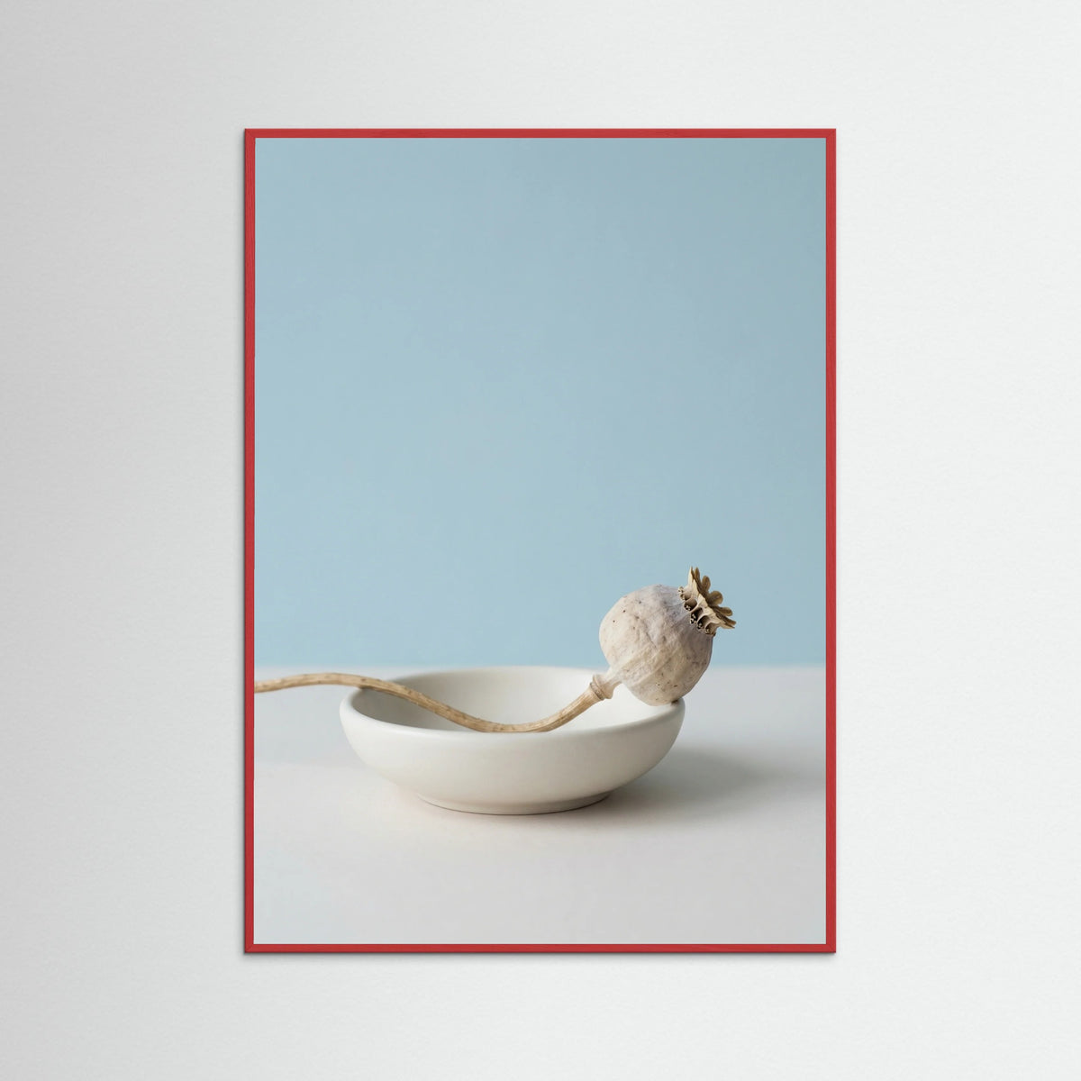 Red Wood Serene Foliage