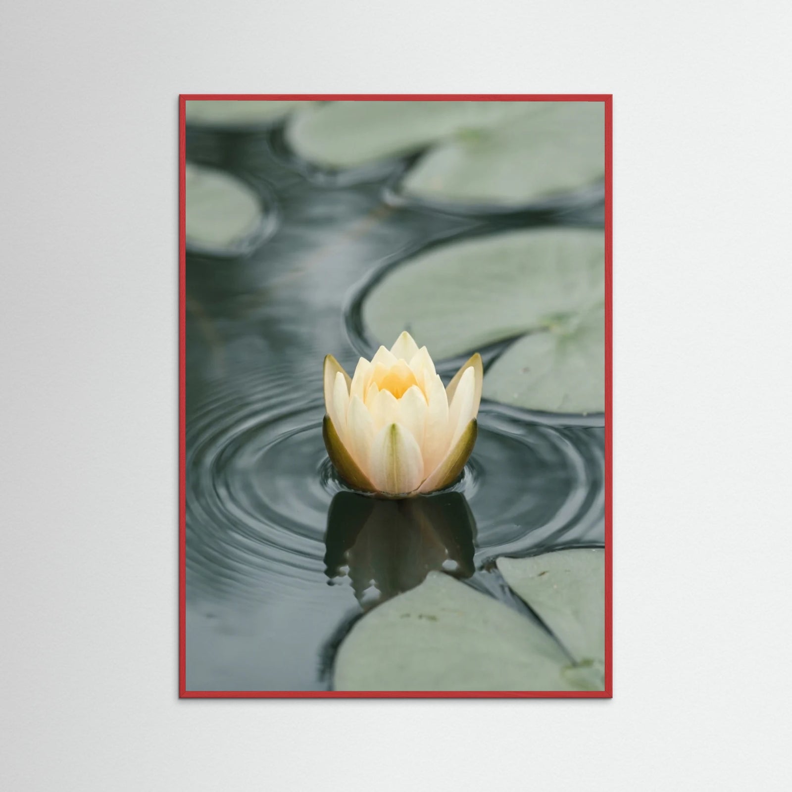 Red Wood Serene Water Lilies