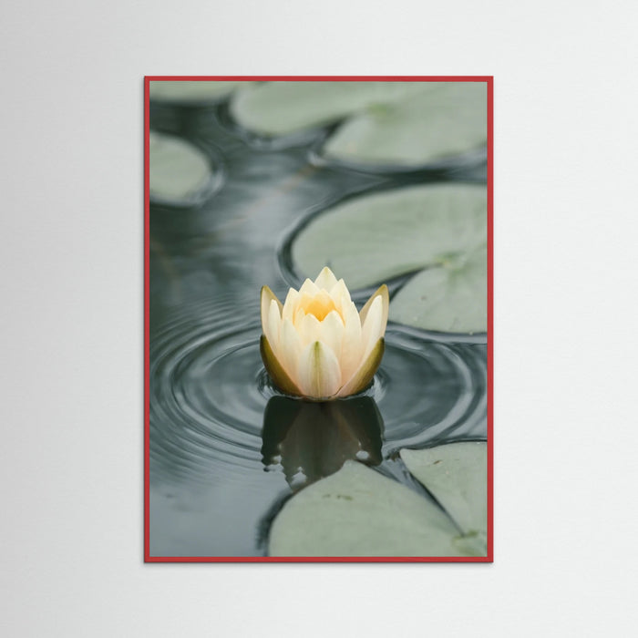 Red Wood Serene Water Lilies