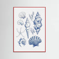 Plakat Shell Collage – plakat i druk artystyczny