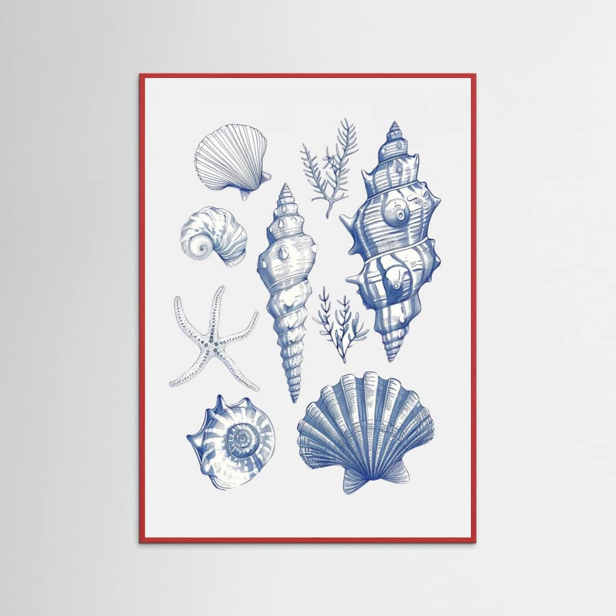 Plakat Shell Collage – plakat i druk artystyczny