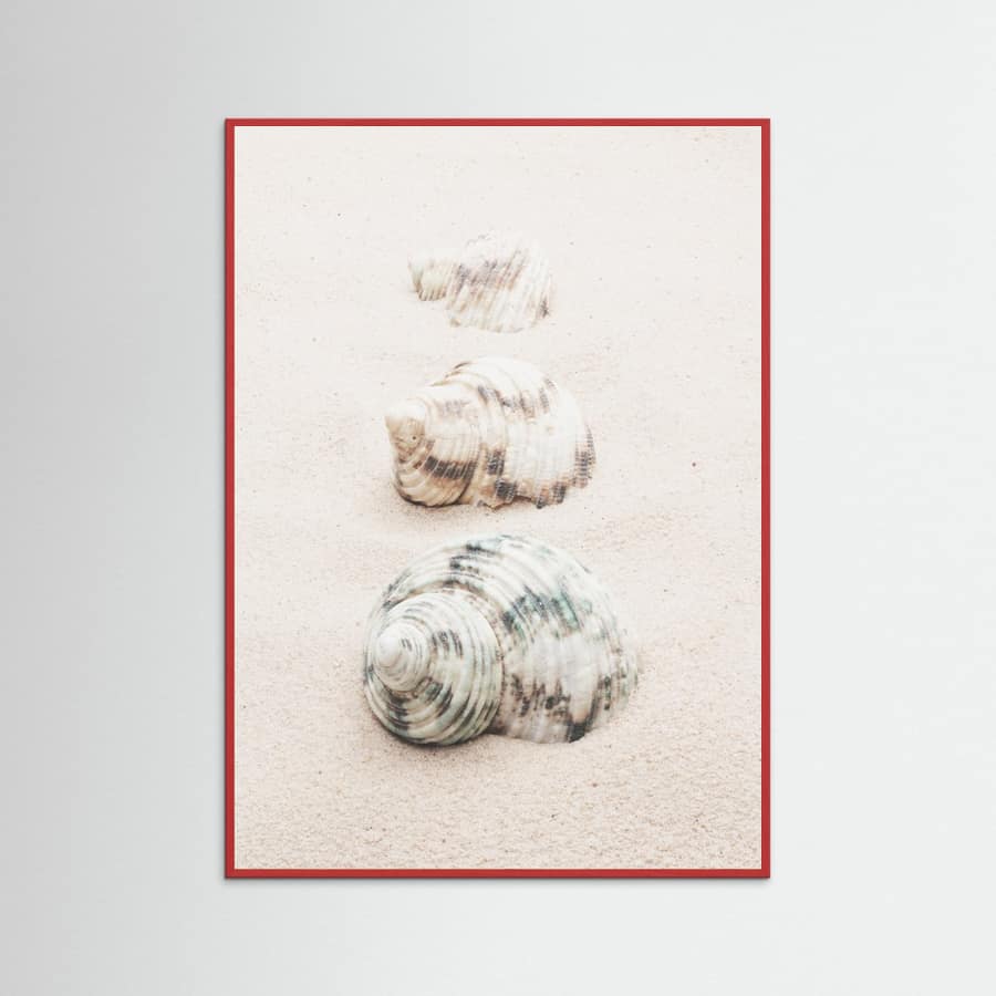 Poster Shells – poster e stampa artistica
