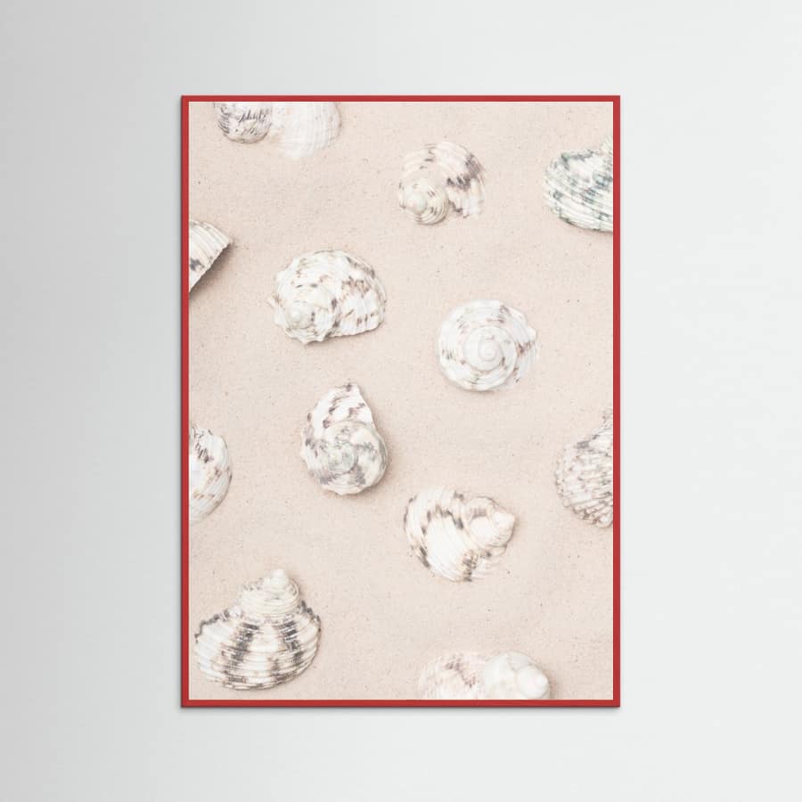 Shells_2 Poster – Poster und Kunstdruck