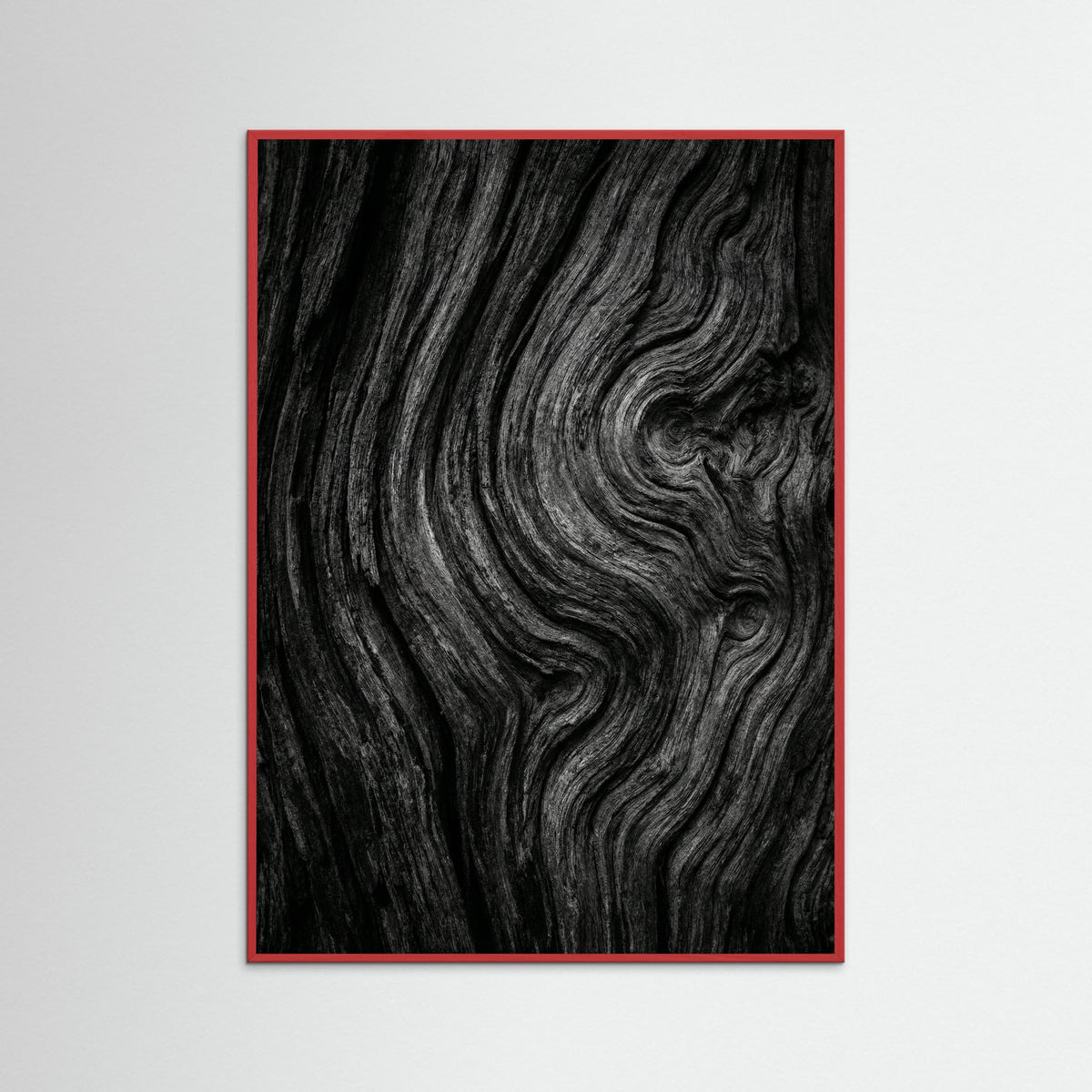 Red Wood Silent Leaves