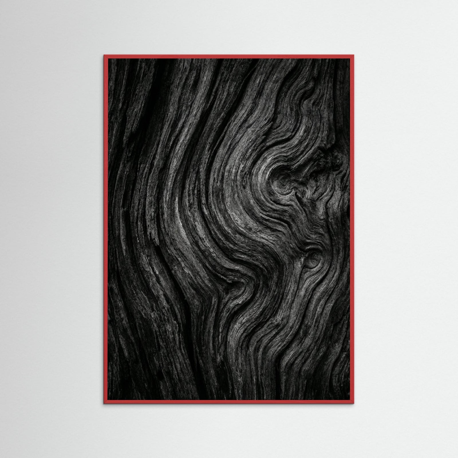 Red Wood Silent Leaves