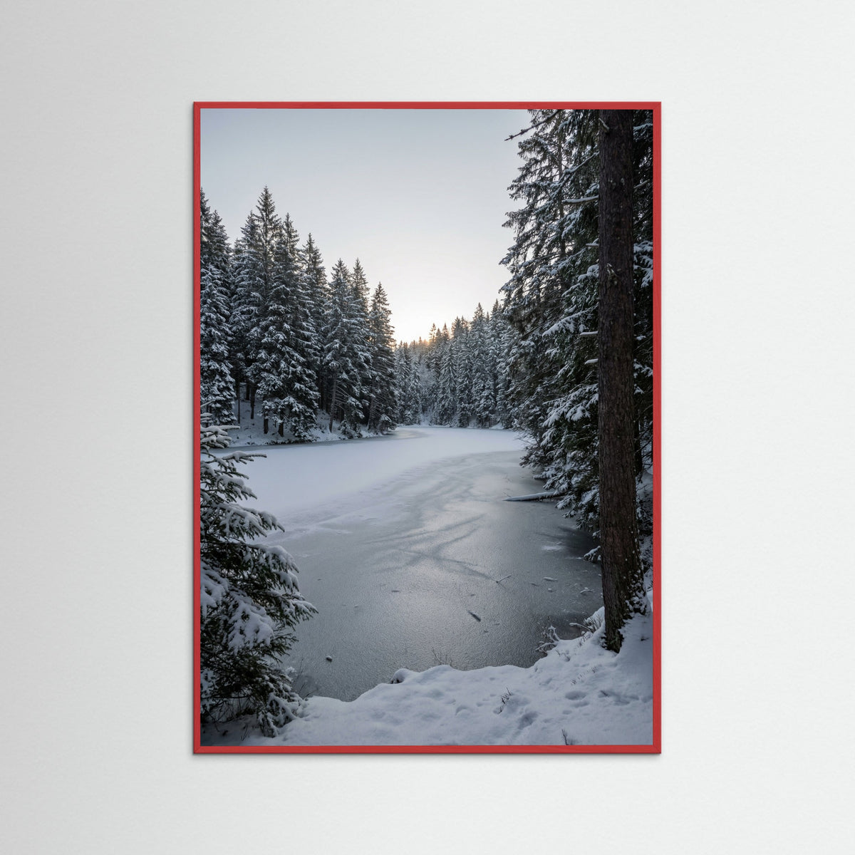 Red Wood Snowy Timber