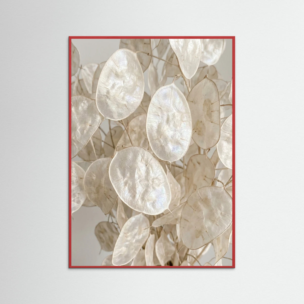 Red Wood Soft Petal Dreams