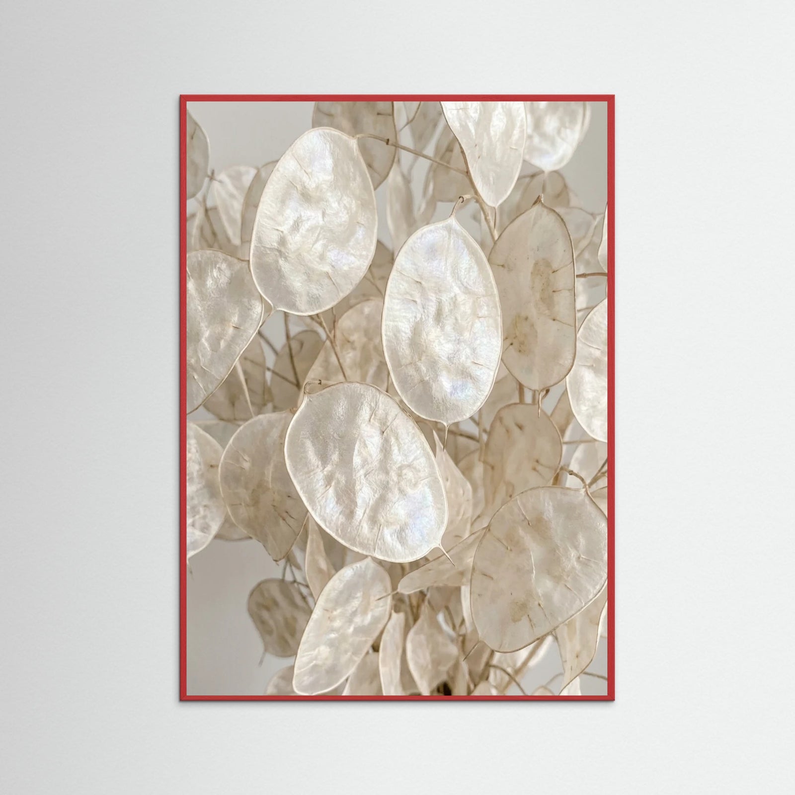 Red Wood Soft Petal Dreams