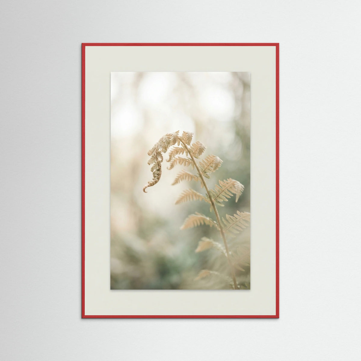 Red Wood Soft Petals Whispers