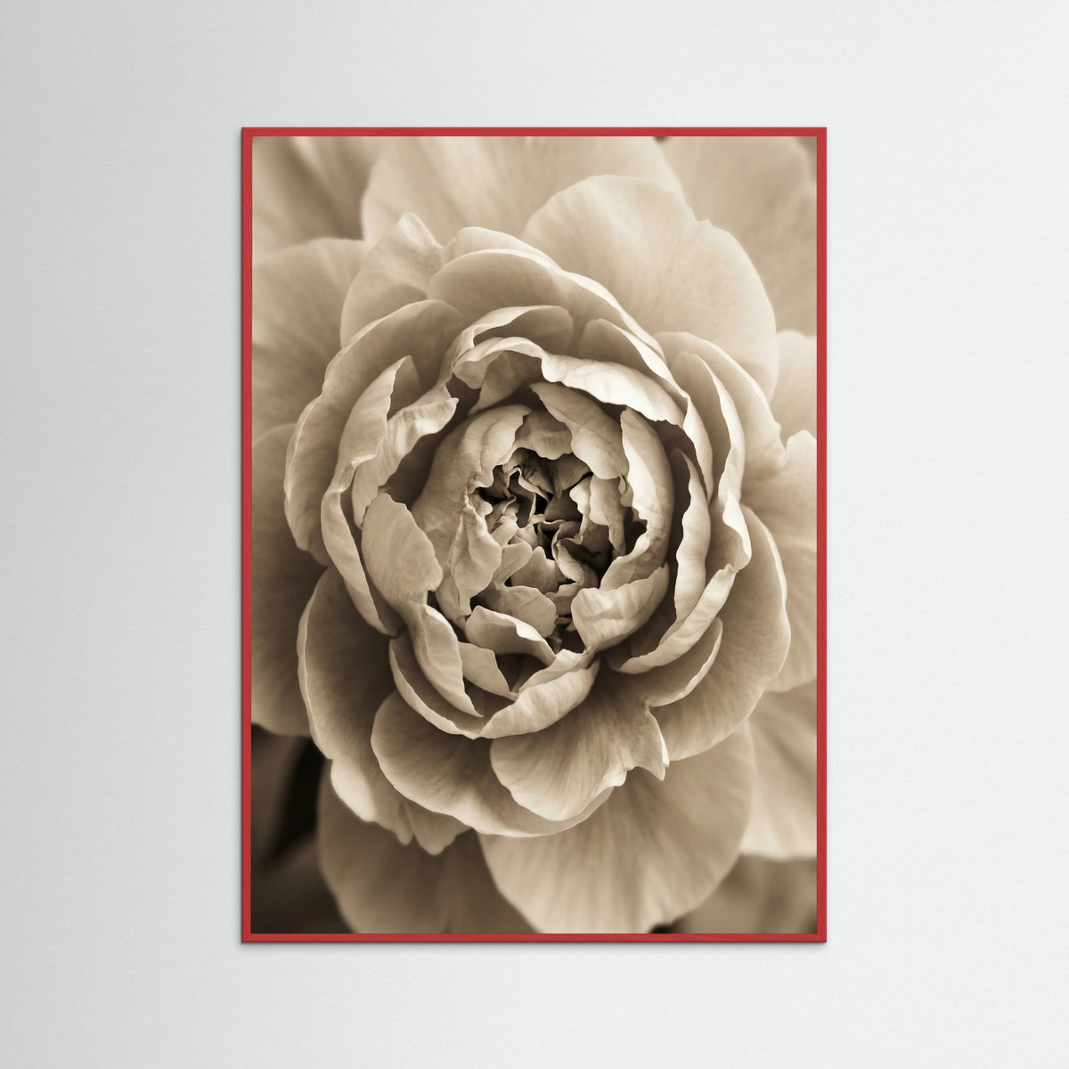 Red Wood Soft Petals