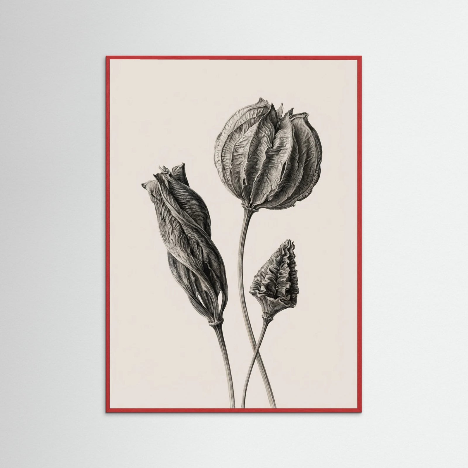 Red Wood Solitary Bloom