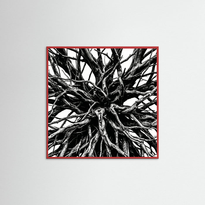 Red Wood Square Dense Thicket