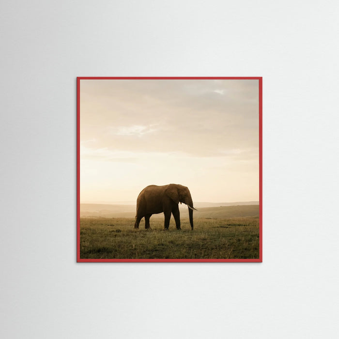 Red Wood Square Golden Savannah Solitude