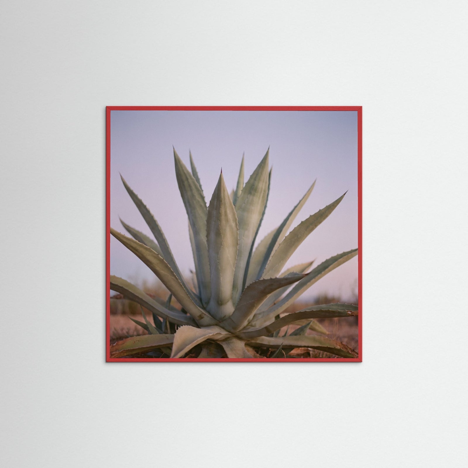 Red Wood Square Muted Opuntia