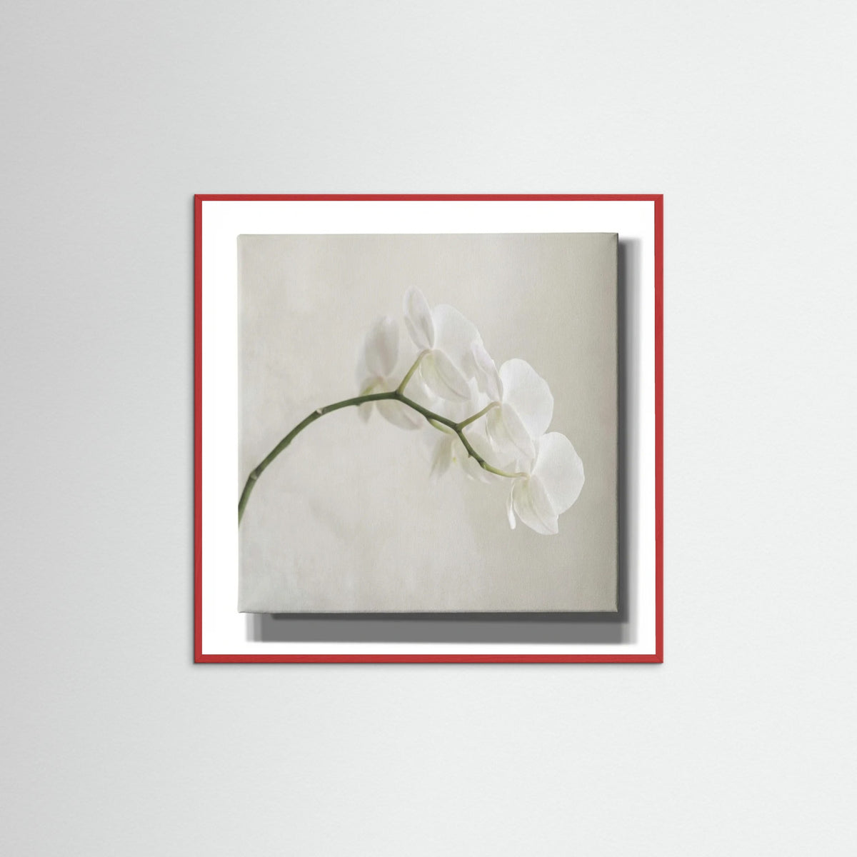 Red Wood Square Quiet Bloom