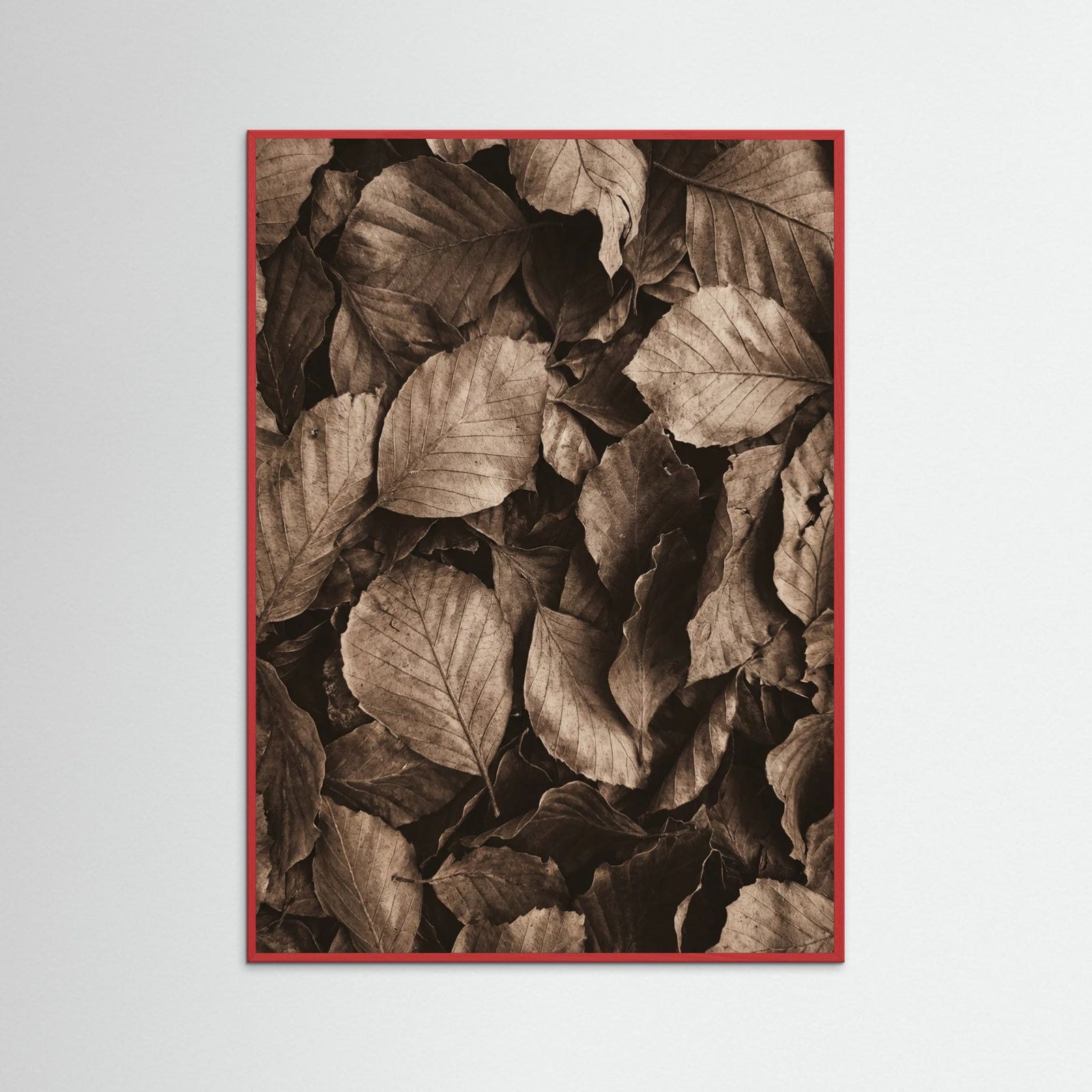 Red Wood Textured Abundance