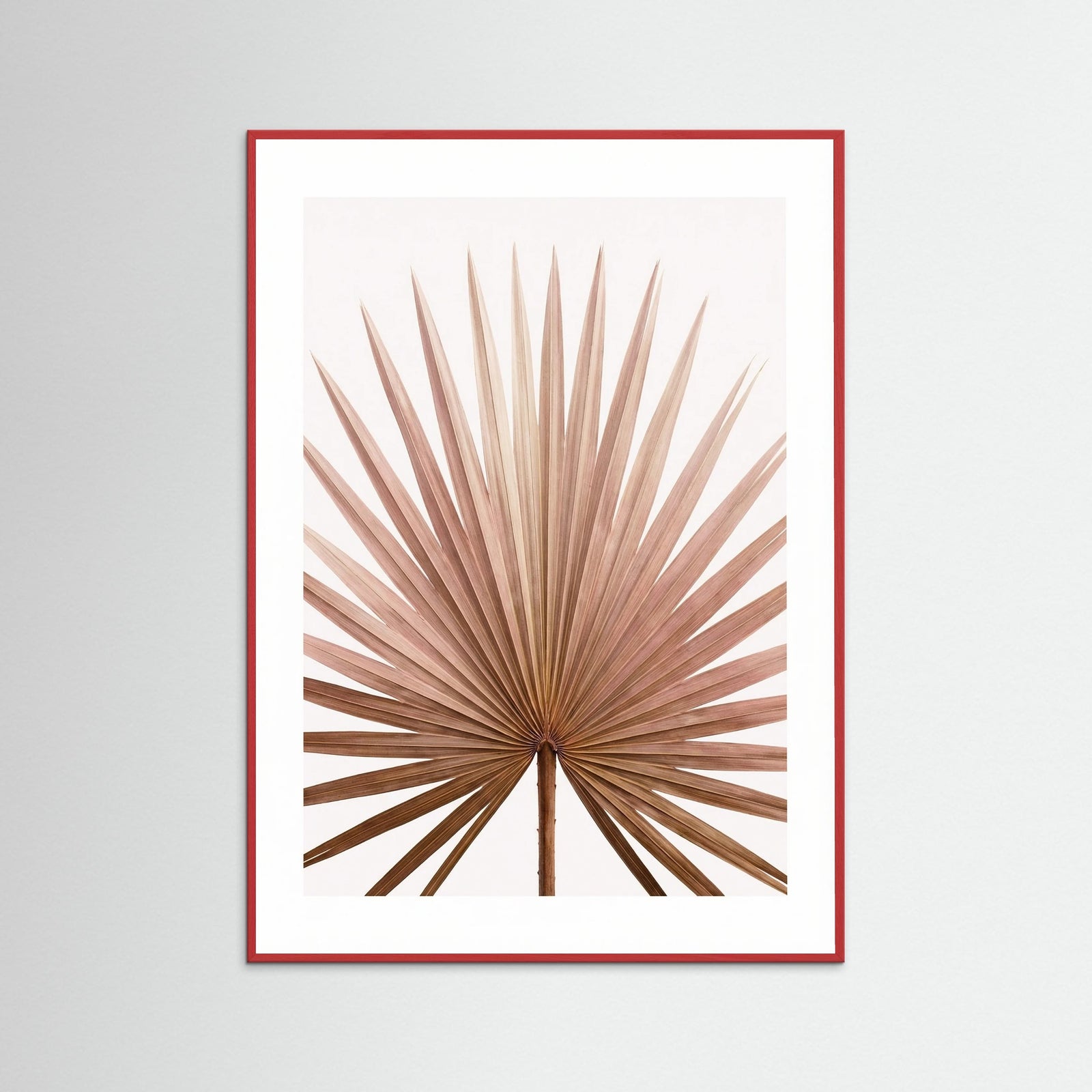 Red Wood Tropical Blush