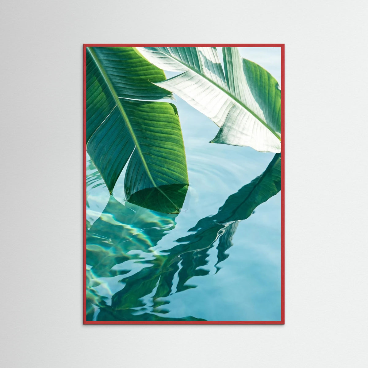 Red Wood Tropical Reflection