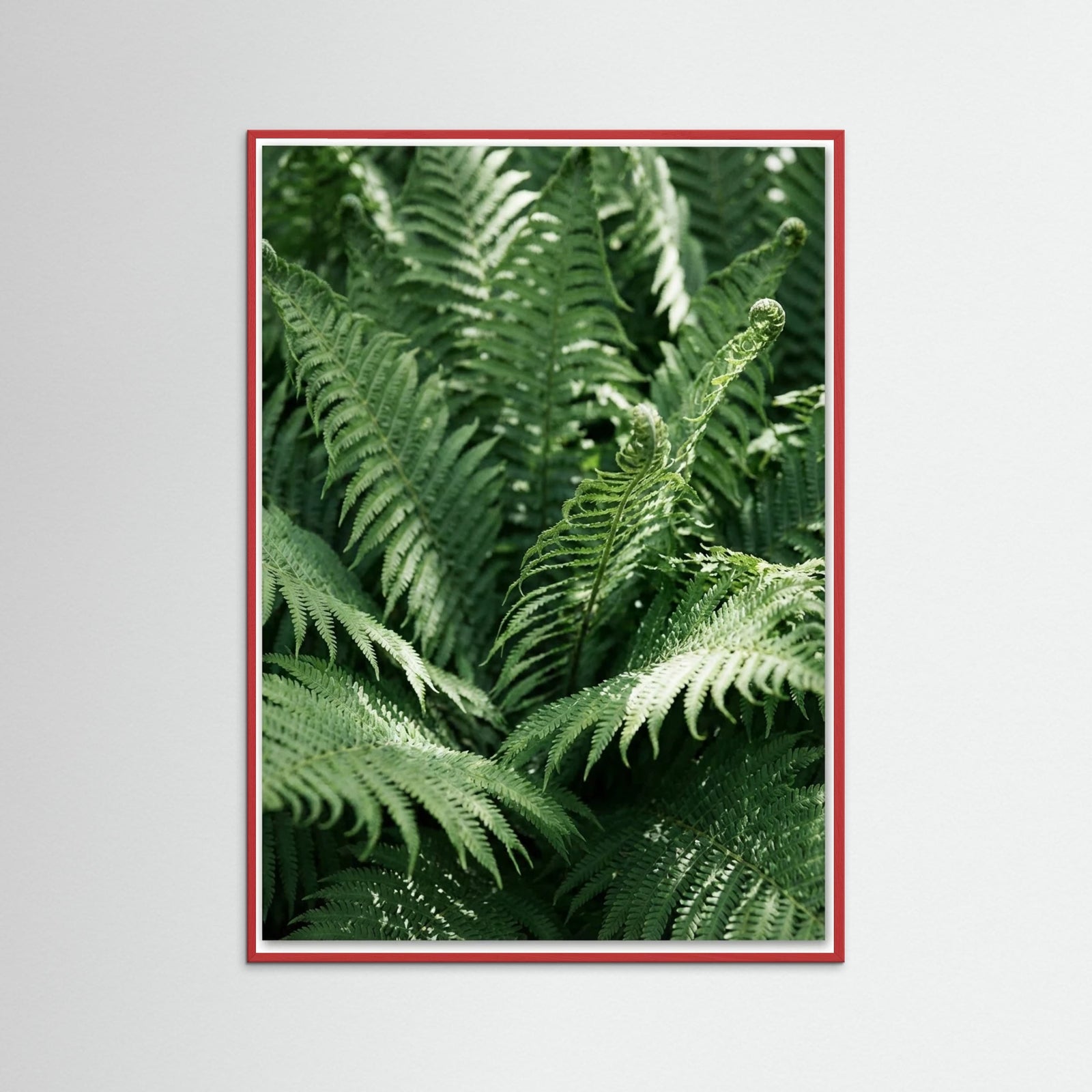 Red Wood Tropical Serenity