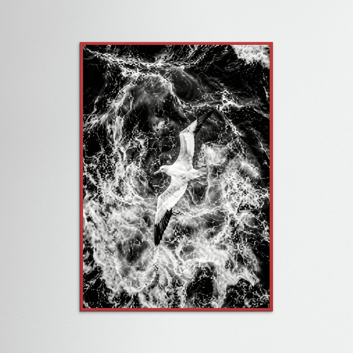 Red Wood Turbulent Flight