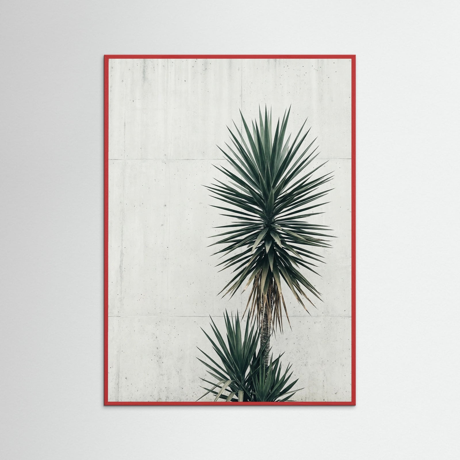 Red Wood Urban Palms Vista
