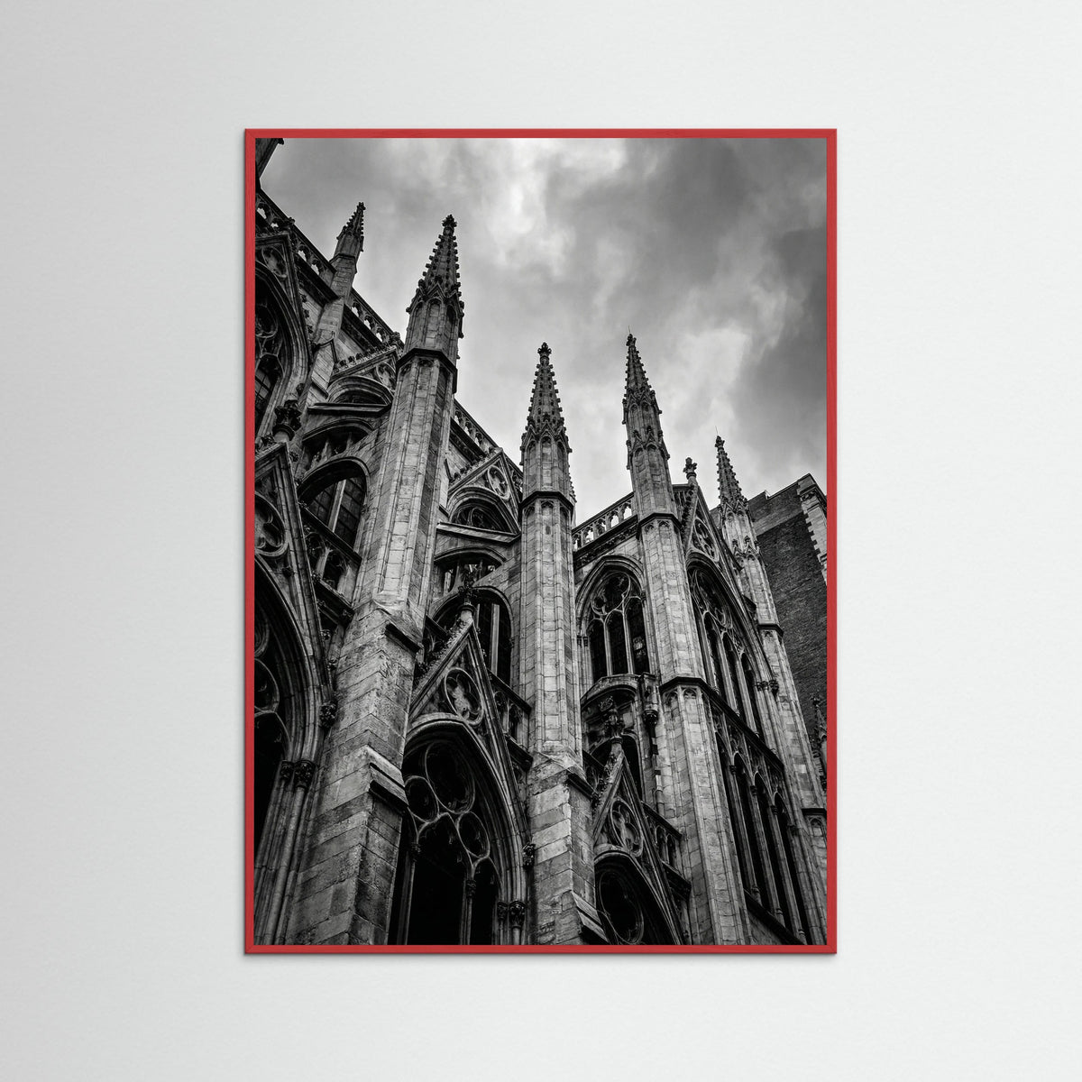 Red Wood Urban Zenith