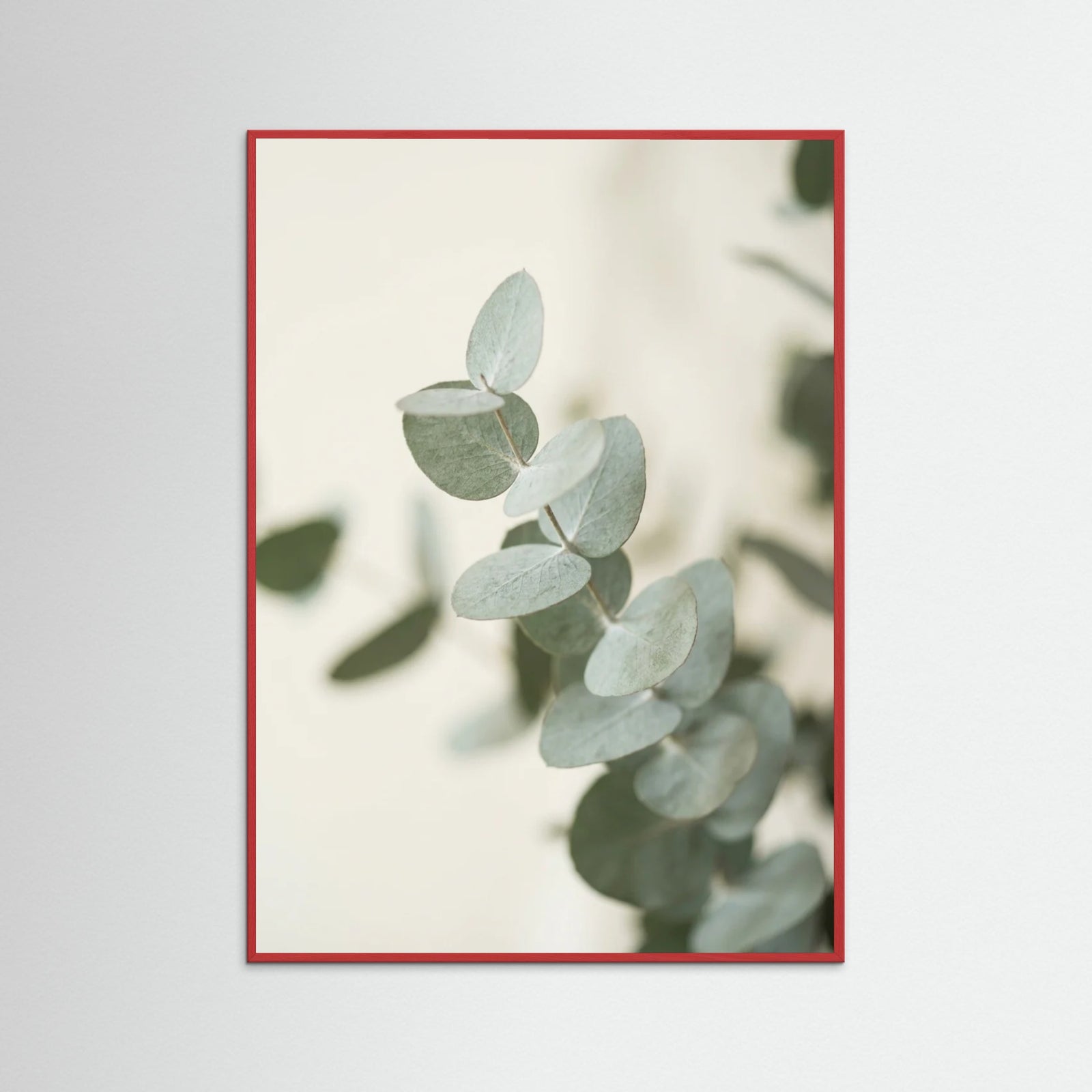 Red Wood Verdant Calm