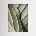 Red Wood Verdant Folds