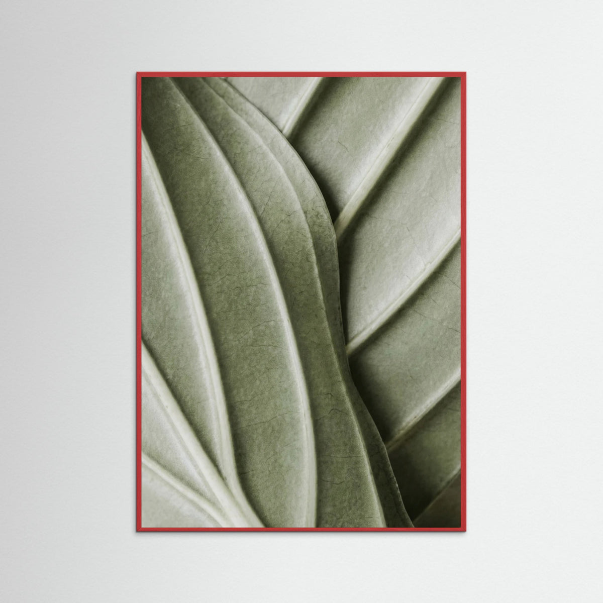 Red Wood Verdant Folds