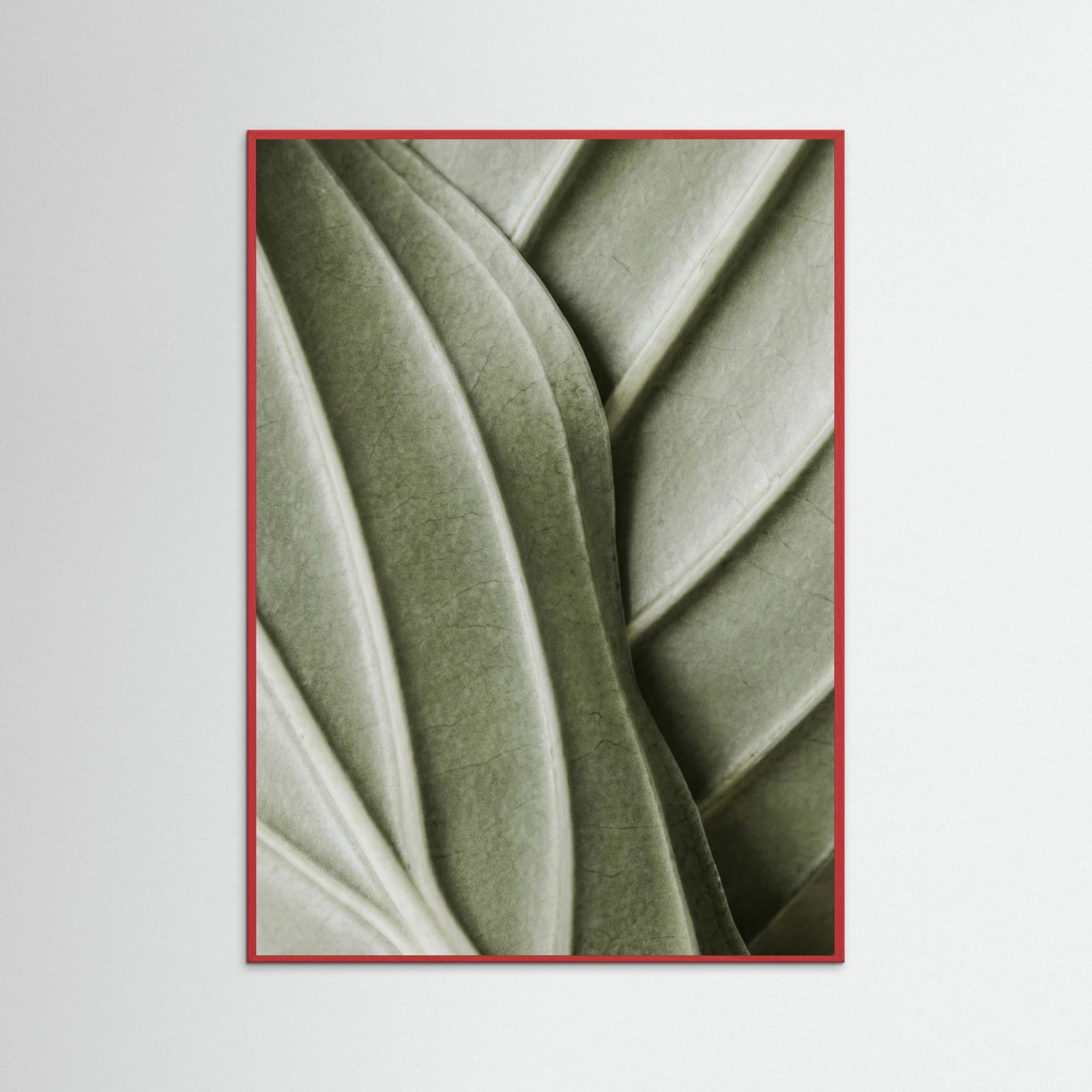 Red Wood Verdant Folds