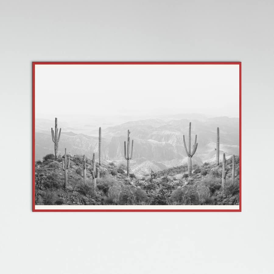 Red Wood Western Cactus Poster