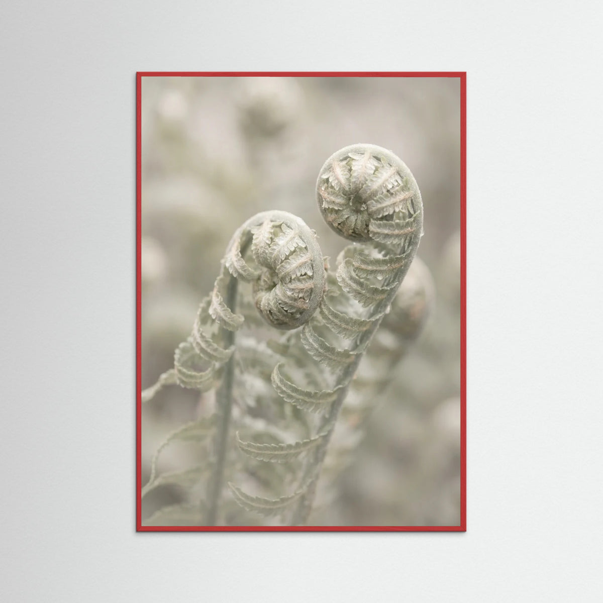 Red Wood Whispering Petals