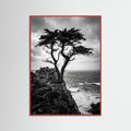 Red Wood Windblown Grace