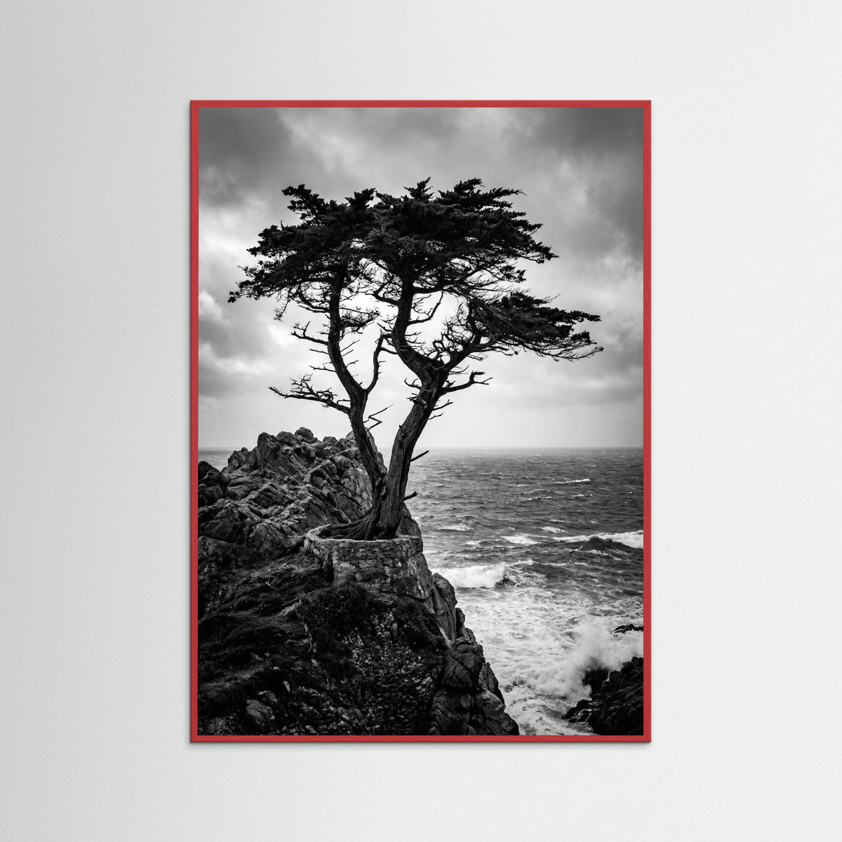 Red Wood Windblown Grace
