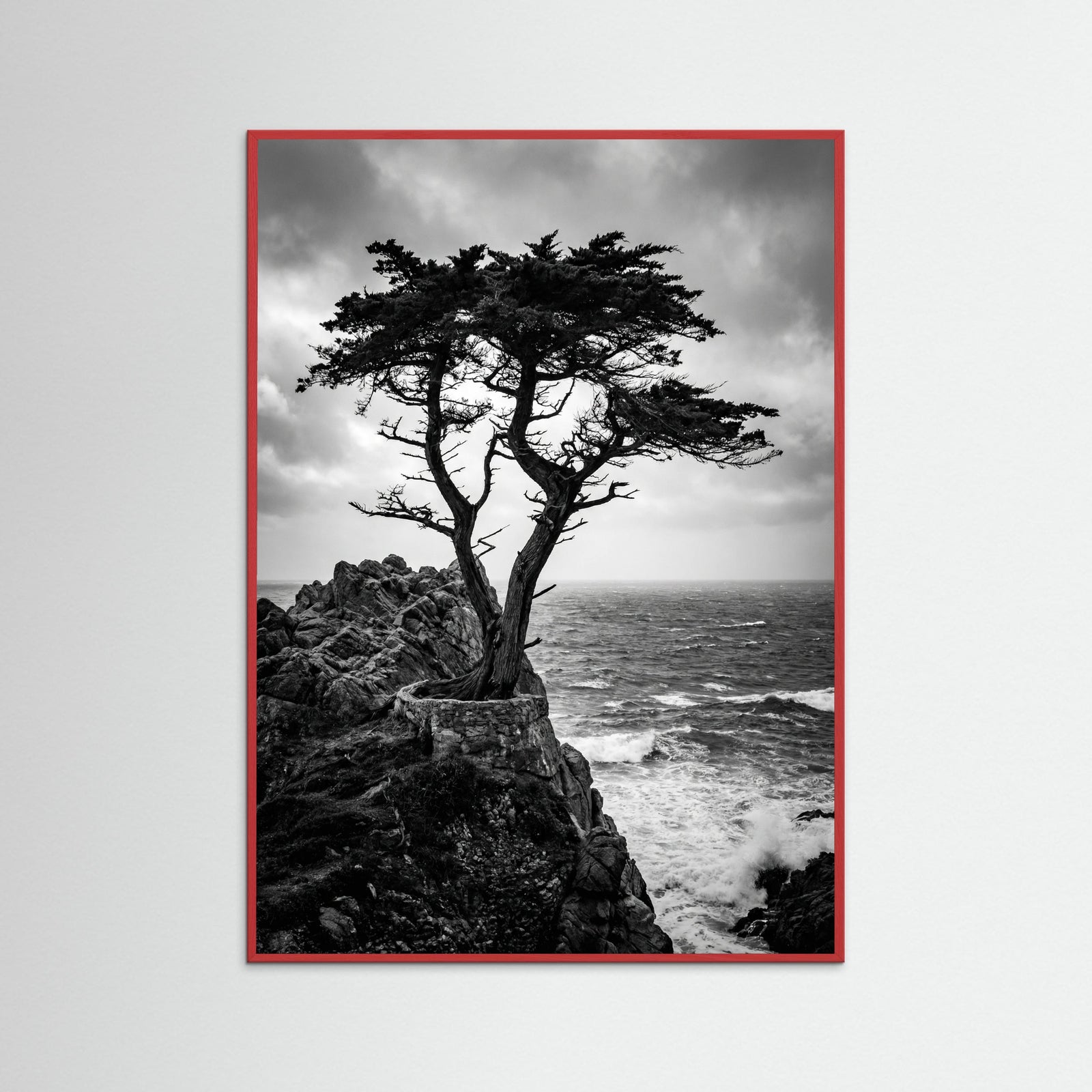 Red Wood Windblown Grace