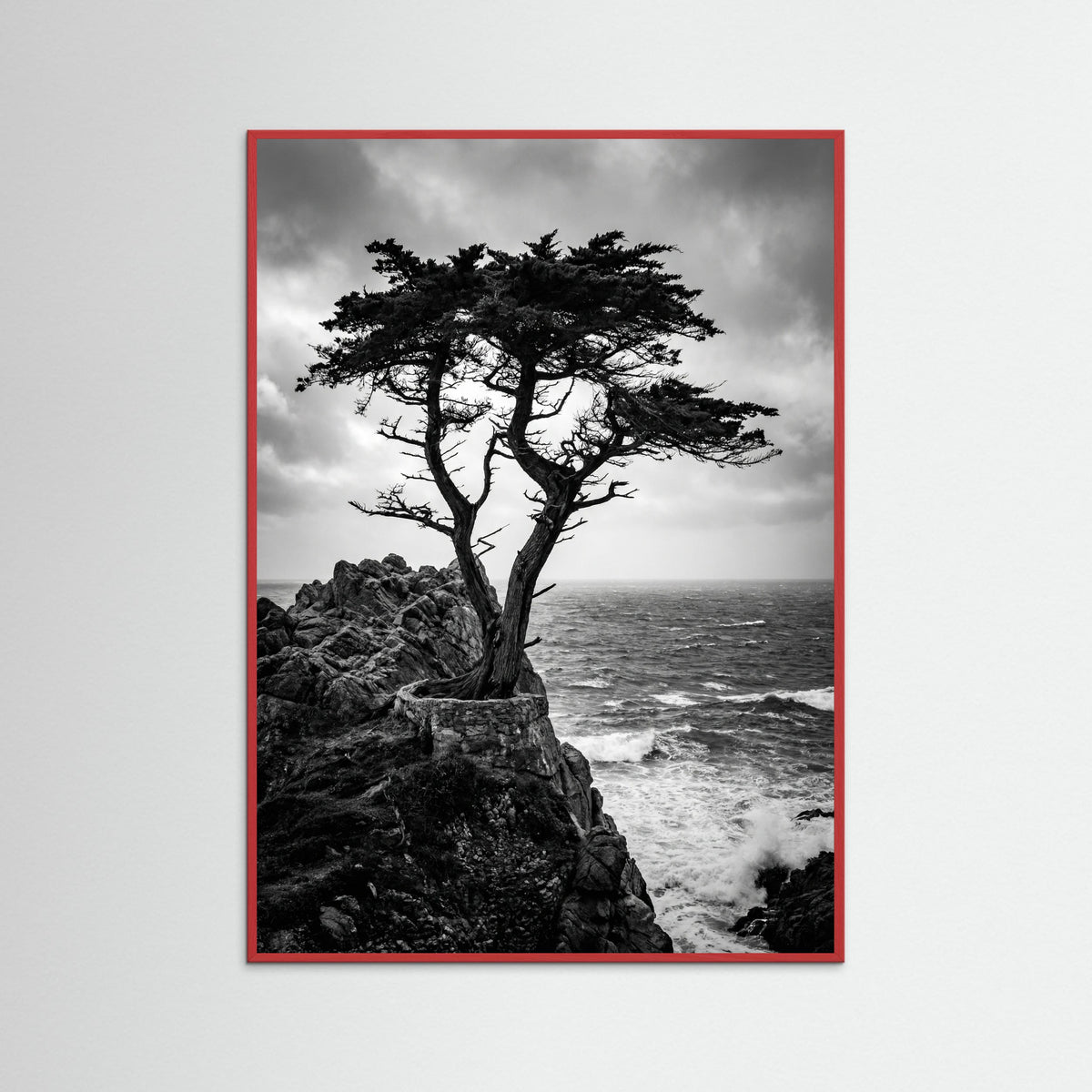 Red Wood Windblown Grace