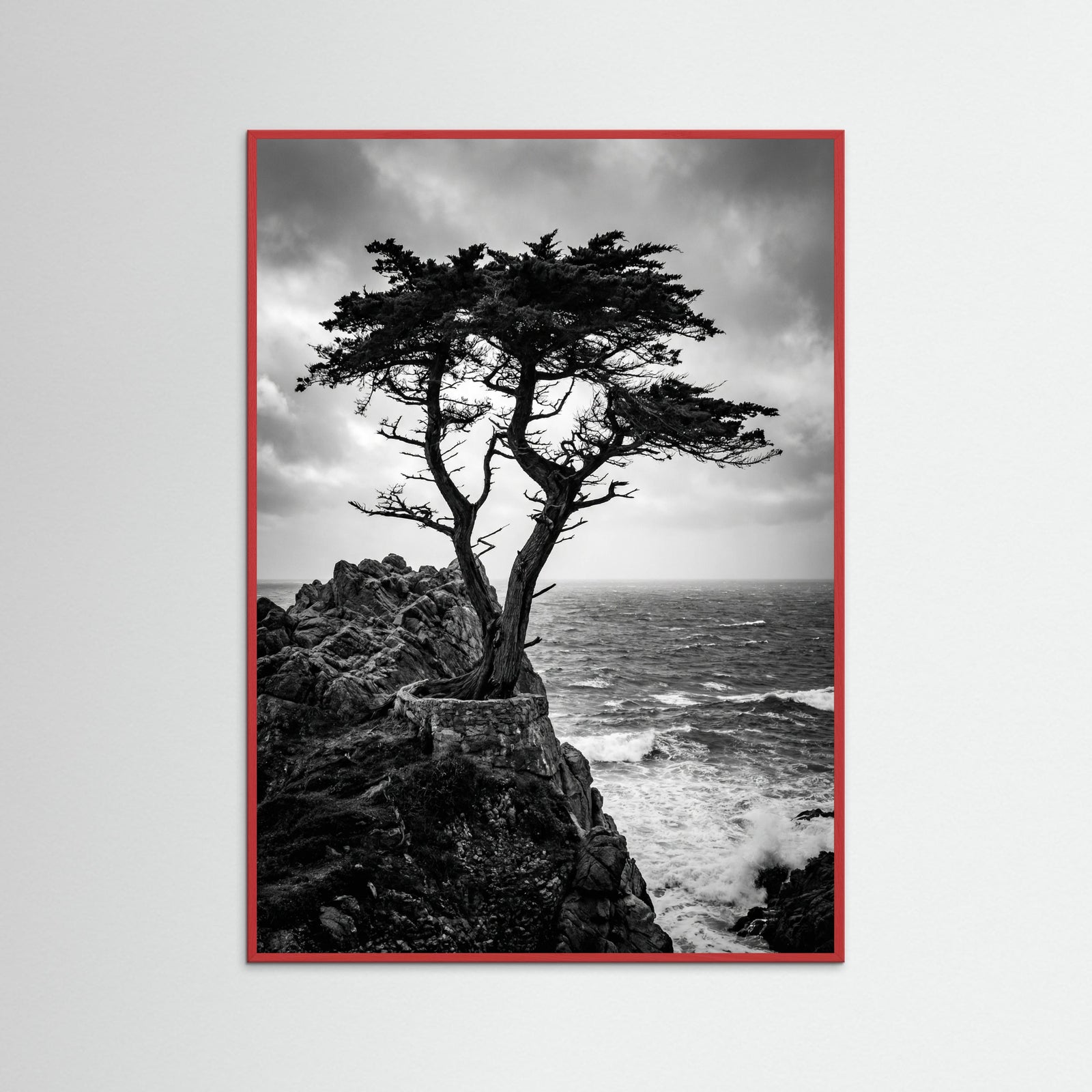 Red Wood Windblown Grace