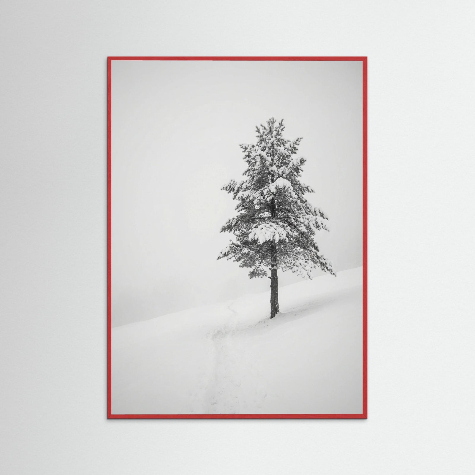 Red Wood Winter Ascent