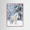 Red Wood Winter Majesty