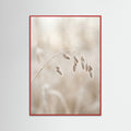 Red Wood Winter Whispers