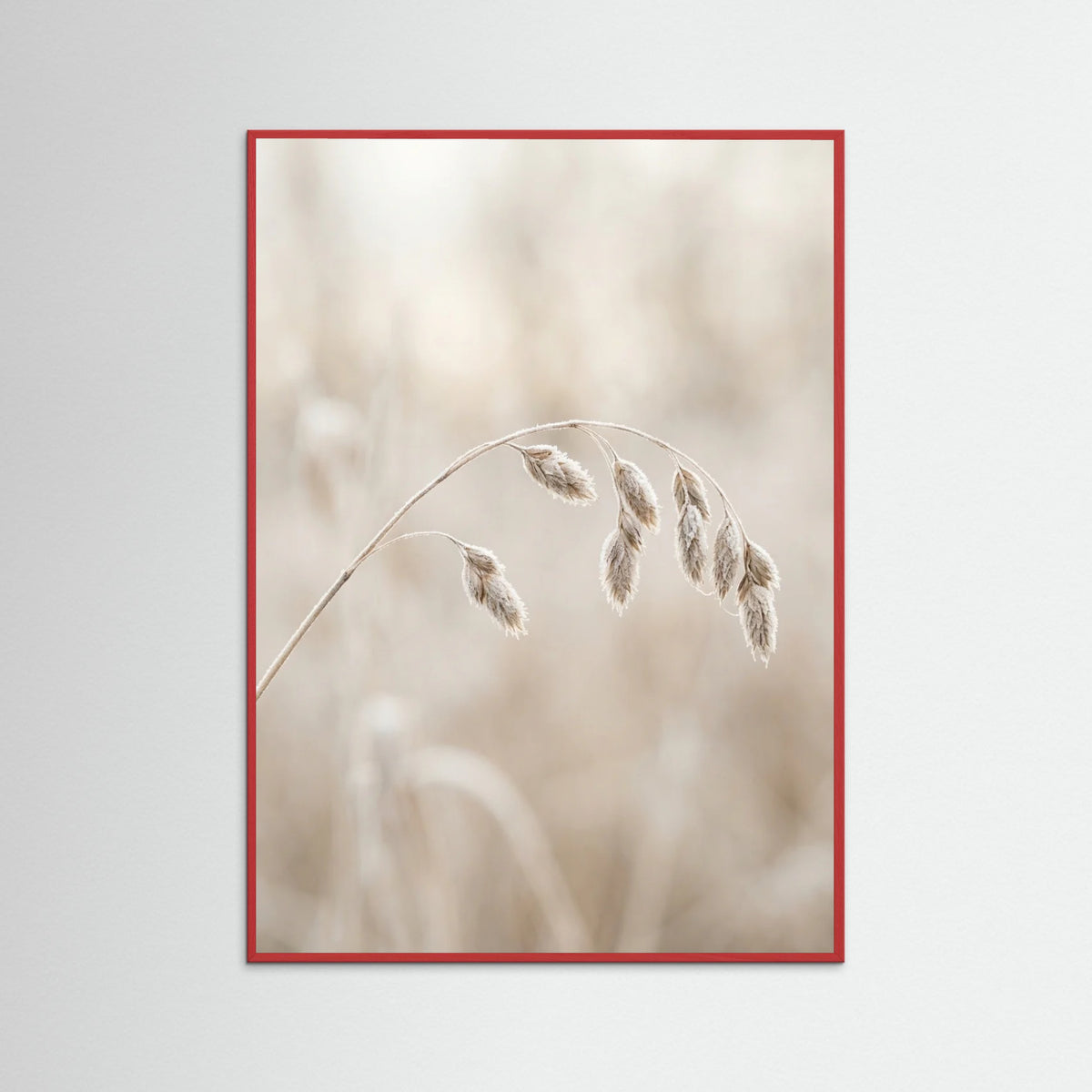 Red Wood Winter Whispers