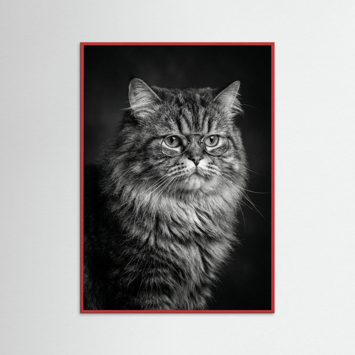 Red Wood Wise Canine