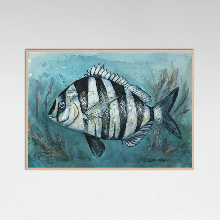 240 Zebra Master Poster – Poster und Kunstdruck