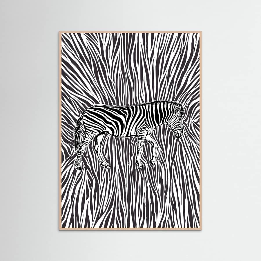African Zebra striking camouflage -juliste – juliste ja taidepainatus