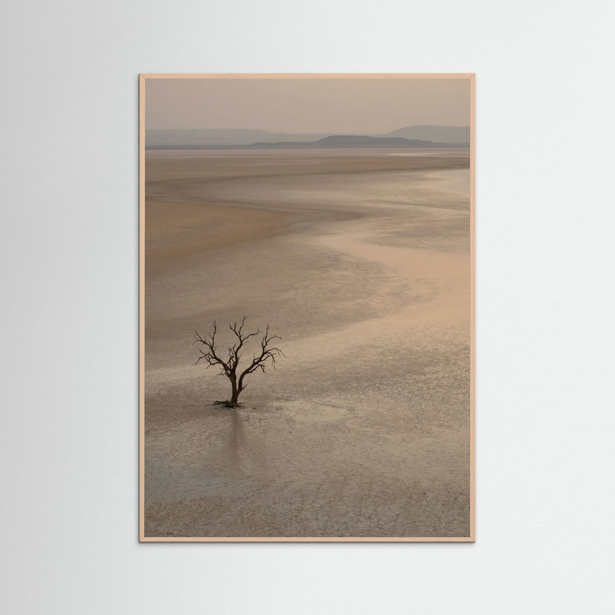 Rose Wood Arid Horizon