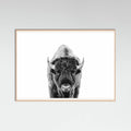 Póster Bison Bw – póster e impresión artística
