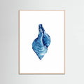 Affiche Blue Seashell On White Background No3 – affiche et impression d’art